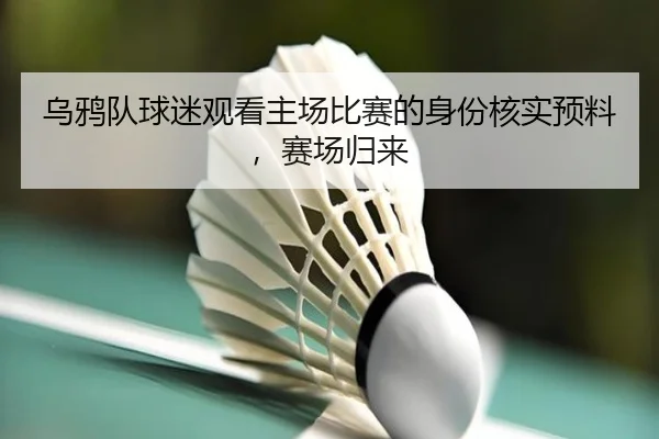 乌鸦队球迷观看主场比赛的身份核实预料，赛场归来