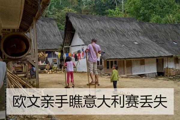 欧文亲手瞧意大利赛丢失（leyu）